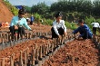 Tiết giảm suất đầu tư có hiệu quả nhờ trách nhiệm và đồng thuận